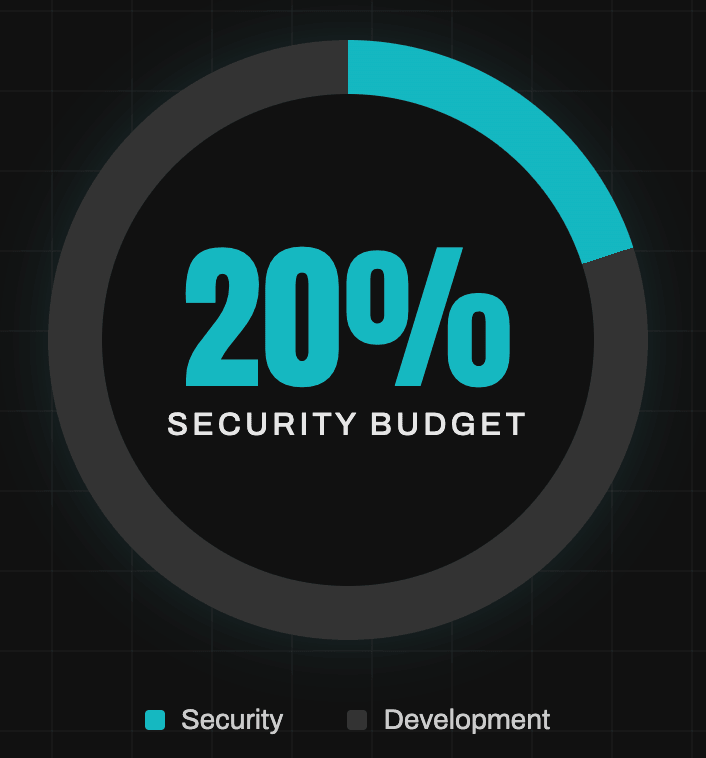 Security Budget Allocation