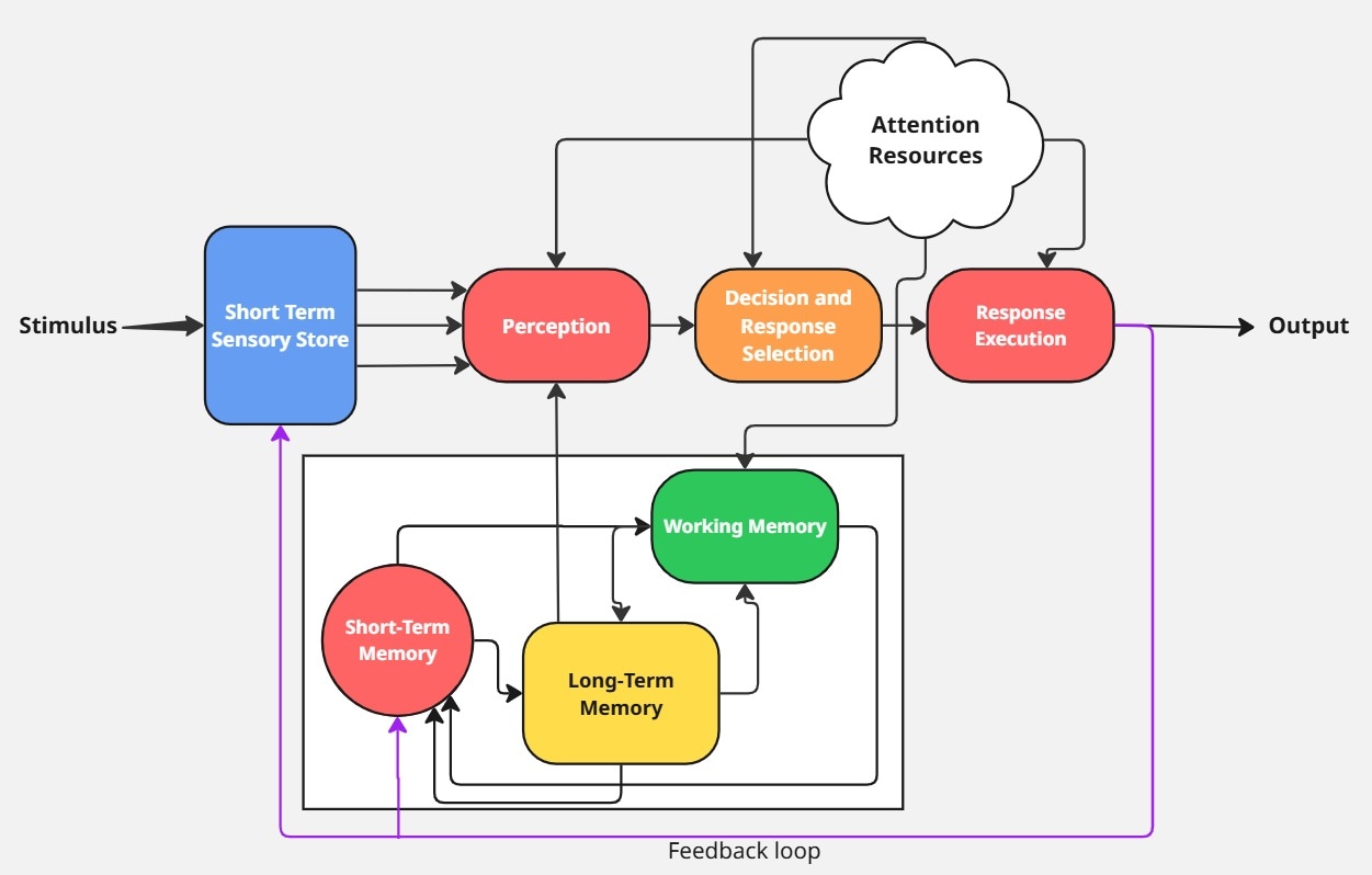 Cognitive Information Processing Model