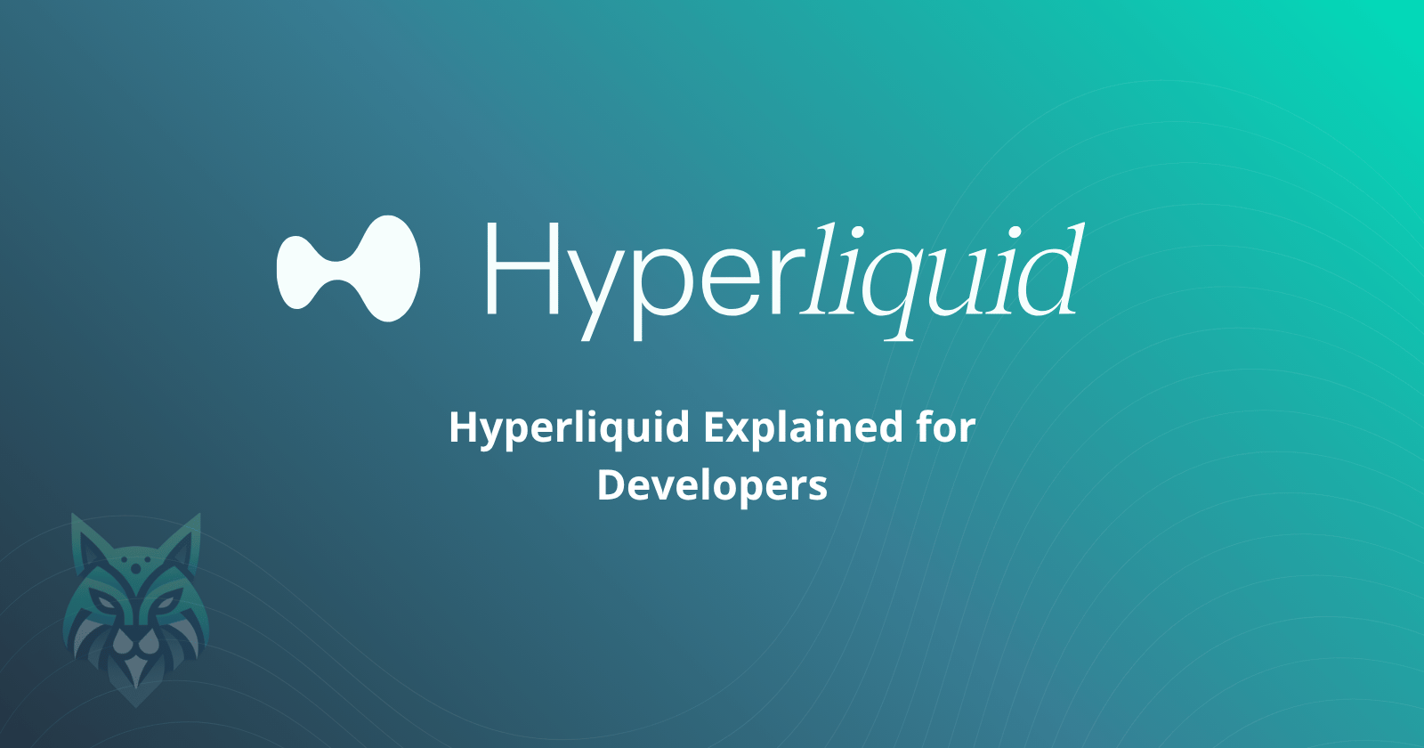 What is Hyperliquid and how you can use it as a developer